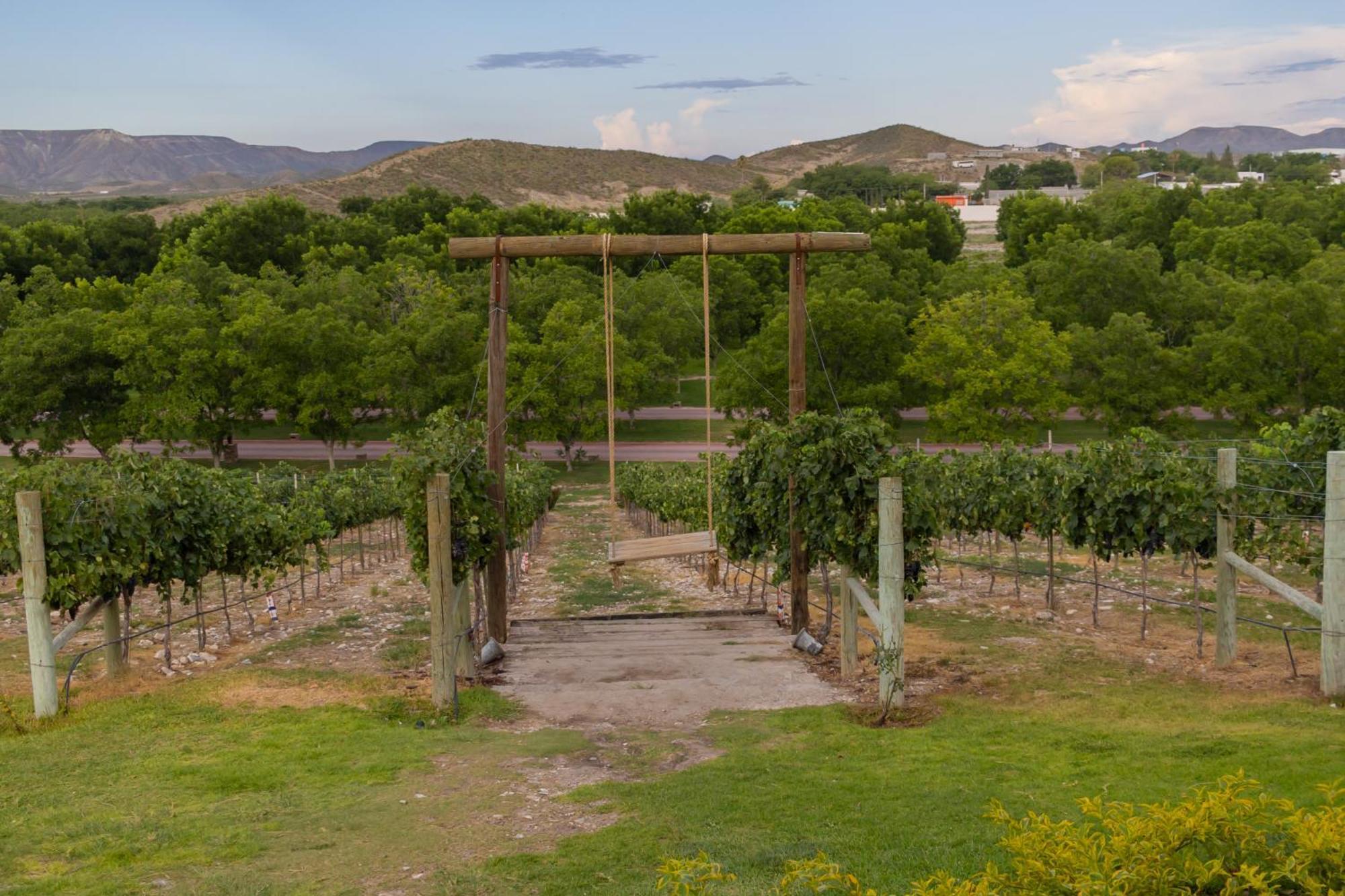 Hotel Vinicola Parvada By Lumina Parras de la Fuente Kültér fotó