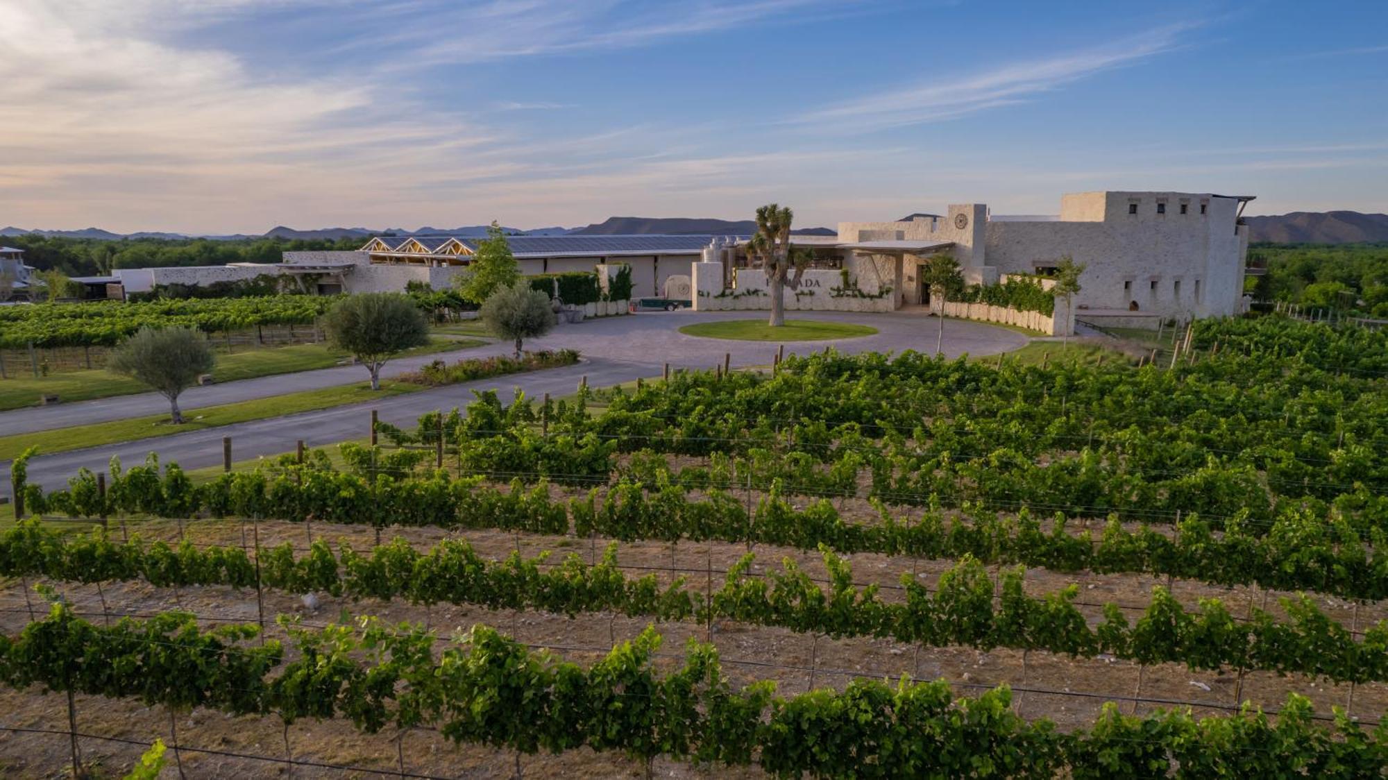 Hotel Vinicola Parvada By Lumina Parras de la Fuente Kültér fotó