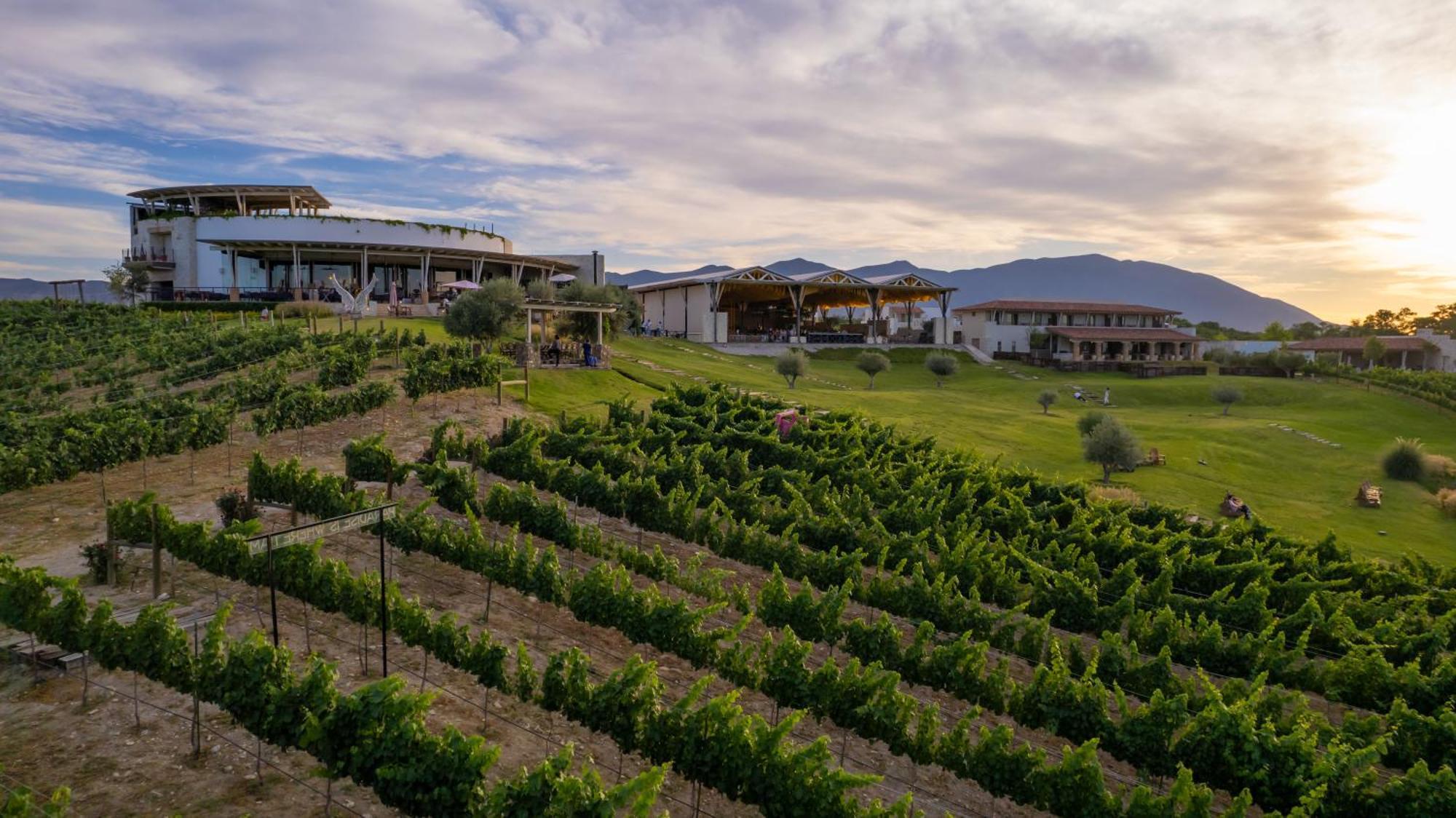 Hotel Vinicola Parvada By Lumina Parras de la Fuente Kültér fotó